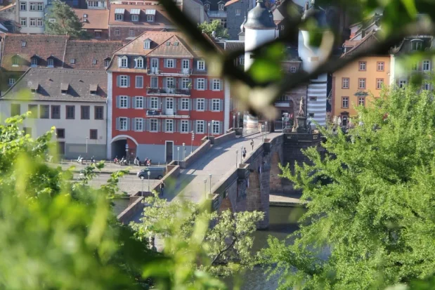 Blick vom Philosophenweg auf die Alte Brücke in Heidelberg von oben.